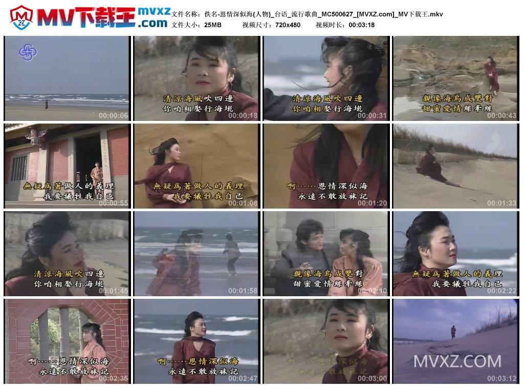 佚名-恩情深似海(人物)_台语_流行歌曲_MC500627